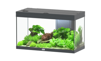 Visuel 1 du produit Aquarium coloris gris Aquatlantis Volga LED 2.0 125 L - 82 x 37 x 50 cm