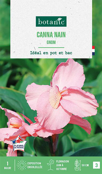 Visuel 1 du produit Bulbe de fleurs Canna Gnom botanic® - 1 bulbe