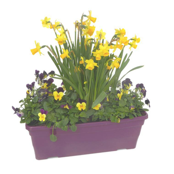 Visuel 1 du produit Jardinière de Printemps. La jardinière déco de 40 cm