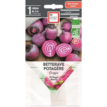 Visuel 1 du produit Graines présemées de Betterave potagère Chioggia bio Ernest Turc - 1 ruban de 2 m