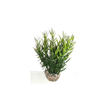 Visuel 1 du produit Herbe marine verte en plastique 16 cm