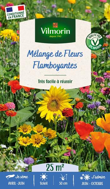 Visuel 1 du produit Mélange de fleurs 25 m² camaïeu flamboyant coloris multicolore Vilmorin jardin  - 10 x 2,7 x 17,2 cm