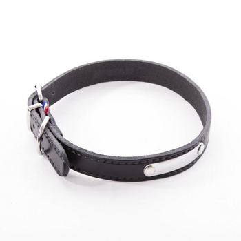 Visuel 1 du produit Collier pour chien en cuir coloris noir Martin Sellier Rive - Taille 20/50