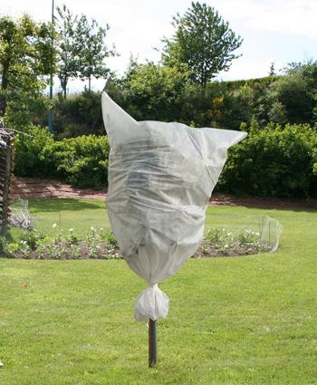 Visuel 1 du produit Ensemble de 3 housses d’hivernage Jany - 1,6 x 1 m