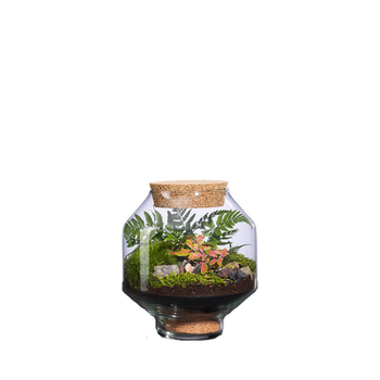 Visuel 1 du produit Terrarium autonome Solu M botanic® - Ø 17 x 20 cm