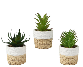 Visuel 1 du produit Succulente artificielle verte en cache-pot blanc naturel - Ø 9 x H 14 cm