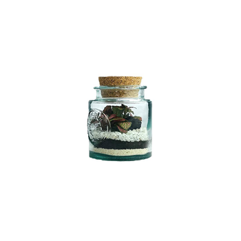 Visuel 1 du produit Terrarium autonome Mao M botanic® - Ø 10 x 13 cm