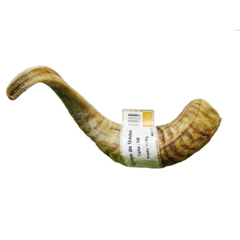 Visuel 1 du produit Corne de mouton pour chien Bubimex – Taille S/M