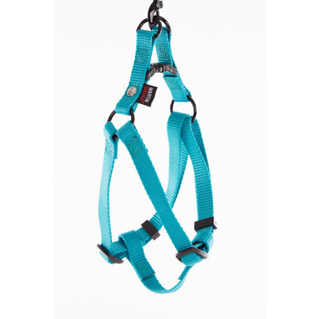 Visuel 1 du produit Harnais baudrier réglable turquoise pour chien - 1,6x35/50 cm