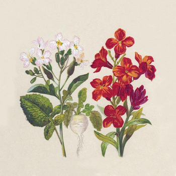 Visuel 1 du produit Lot de 25 serviettes 2 plis Botanical coloris multicolore en papier recyclé - 25 x 25 cm