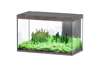 Visuel 1 du produit Aquarium coloris chêne foncé Aquatlantis Sublime Ultra LED 2.0 419 L - 150 x 50 x 70 cm