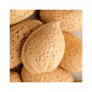 Visuel 1 du produit Amandier Marcona. Le pot de 12 litres, forme gobelet