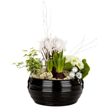 Visuel 1 du produit Composition festive en coupe céramique noire - La composition