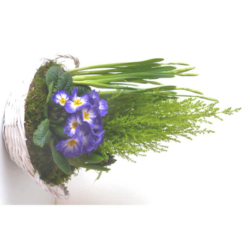 Visuel 1 du produit Panier varié pour extérieur - La composition