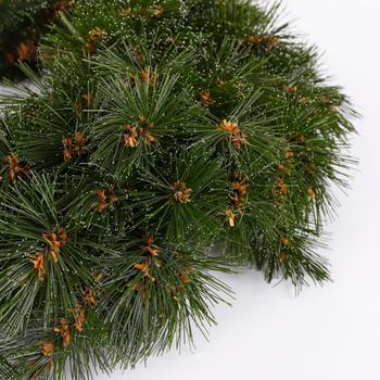 Visuel 2 du produit Couronne de Noël artificielle Forest - Ø 45 cm