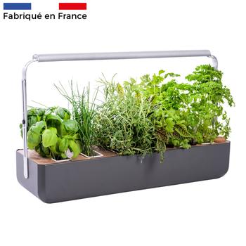 Visuel 1 du produit Potager coloris graphite Gourmet Indoor Véritable avec 6 lingots fournis - 1 étage