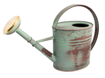 Visuel 1 du produit Arrosoir en acier galvanisé coloris vert vieilli Nogent - 4 L