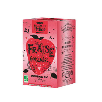 Visuel 1 du produit Infusion fraise gingembre bio en briquette carton de 16 cl