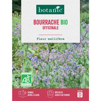 Visuel 1 du produit Graines de bourrache officinale bio botanic® - graines à semer