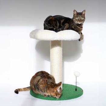 Visuel 1 du produit Arbre à chat coloris multicolore Coockoo Flower Power - 49 x 49 x 56 cm