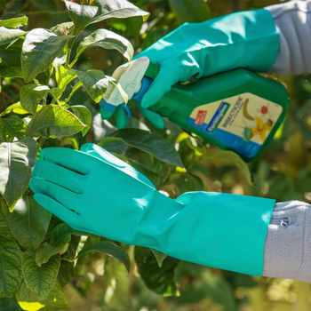 Visuel 1 du produit Gants Phyto coloris vert - Taille 9