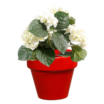 Visuel 1 du produit Pot horticole en terre cuite émaillée Rouge – D19 x H17