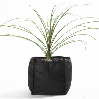 Visuel 1 du produit Sac de plantation bassin, résistant et pratique, VELDA - modèle Plant Basket - 25x25x20cm
