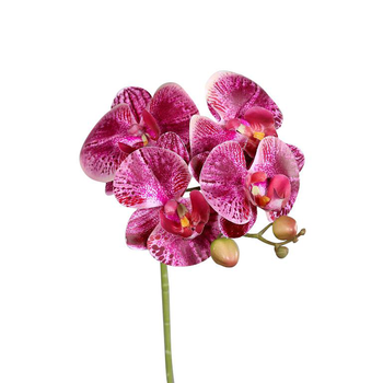 Visuel 1 du produit Orchidée tige artificielle « real touch » coloris violet – 66 cm