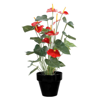 Visuel 1 du produit Pot horticole en terre cuite émaillée Noir – D25 x H23