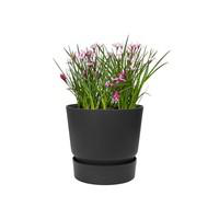 Visuel 1 du produit Pot Greenville rond de 13 L coloris noir Ø 30 x H 28 cm