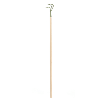 Visuel 1 du produit Griffe de jardin 3 dents manche en bois botanic®