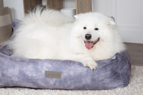 Visuel 5 du produit Corbeille pour chien gris Kensington Scruffs – Taille M