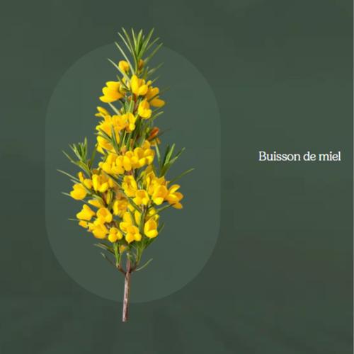 Visuel 4 du produit Infusion de Noël Yogi Tea édition Christmas Tea - la boîte carton de 17 sachets