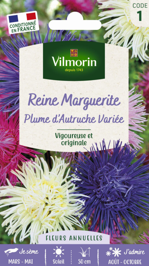 Visuel 1 du produit Reine Marguerite Plume d'Autruche variée Vilmorin - graines à semer