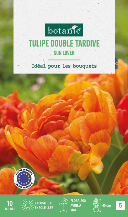 Visuel 1 du produit Tulipe sun lover botanic® - 10 bulbes