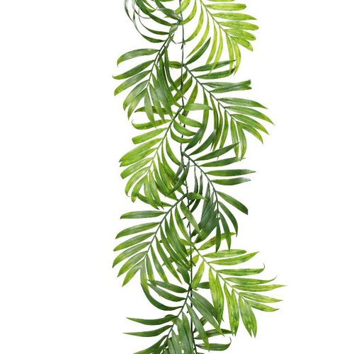 Visuel 1 du produit Branche artificielle de chico guirlande coloris vert - 170 cm