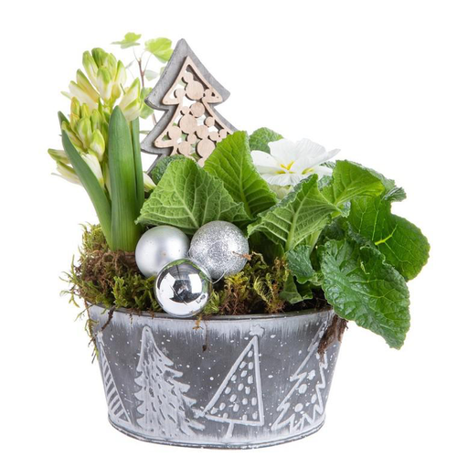 Visuel 1 du produit Composition de Noël sapins gris multicolore pot en zinc