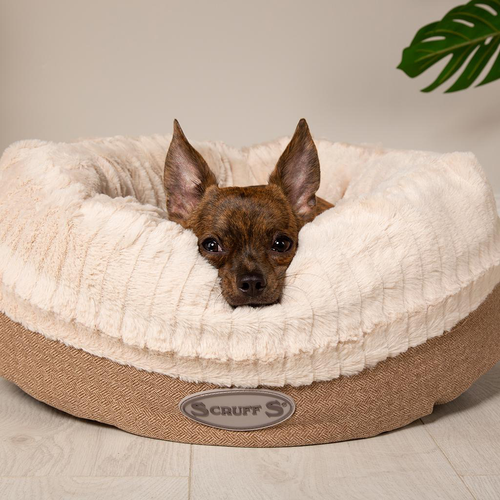 Visuel 4 du produit Corbeille pour chien beige Ellen Scruffs - Taille XL