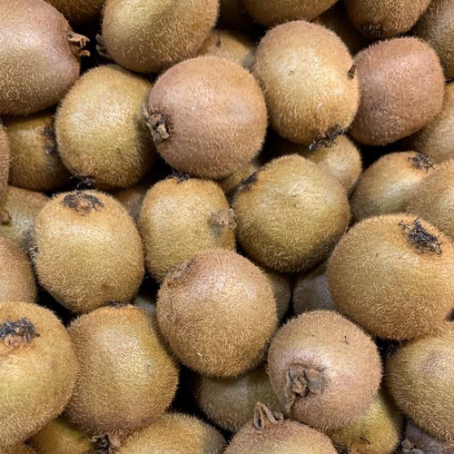 Visuel 1 du produit Actinidia Chinensis (Deliciosa). Le pot de 60 litres