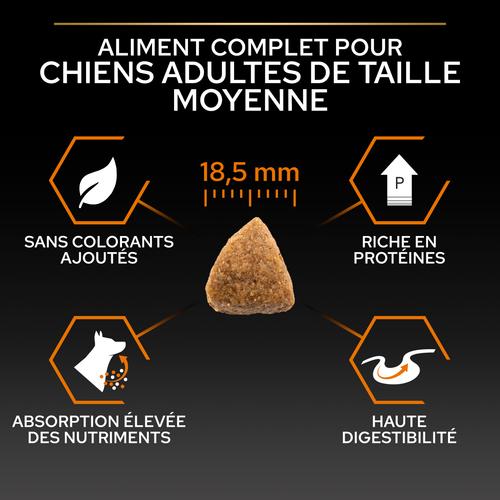 Visuel 7 du produit Croquettes pour chien adulte Large athletic Pro Plan - 14 kg + 2,5 kg