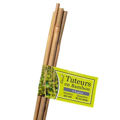 Visuel 1 du produit Tuteur coloris bois en bambou - 90 cm