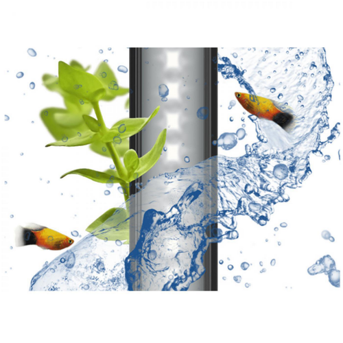 Visuel 2 du produit Rampe LED pour aquarium - CIANO CLA60