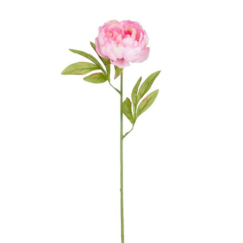 Visuel 1 du produit Tige de pivoine artificielle en plastique recyclé rose - 67 cm