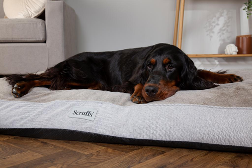 Visuel 6 du produit Couchage orthopédique pour chien coloris marron Scruffs Harvard - Taille XL 120 x 75 x 16 cm