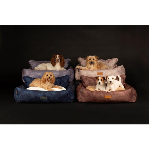 Visuel 4 du produit Corbeille pour chien beige Kensington Scruffs – Taille XL