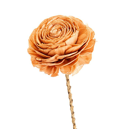 Visuel 2 du produit Fleur en bois de Sola et coco forme Rose - Ø 8 x H 52 cm