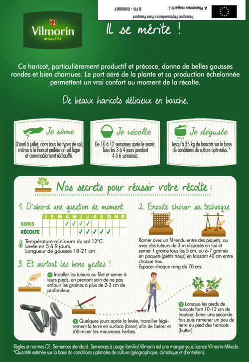 Visuel 2 du produit Graines de Haricot vert sans fil Emerite fin Vilmorin - graines à semer