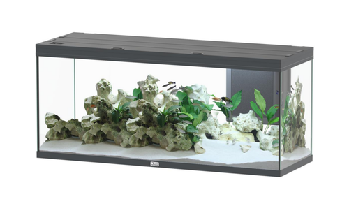 Visuel 1 du produit Aquarium coloris gris Aquatlantis Volga LED 2.0 450 L - 152 x 52 x 67 cm