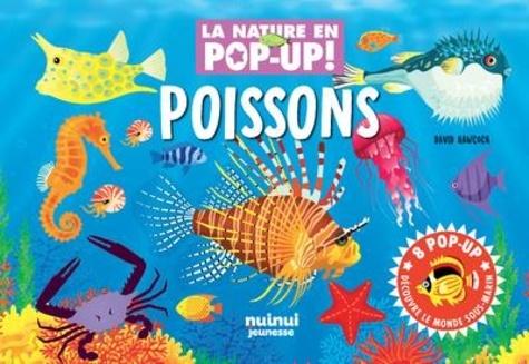 Visuel 1 du produit Livre pop-up "Poissons" collection La nature en pop-up aux Éditions Lito
