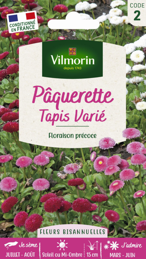 Visuel 1 du produit Pâquerette Tapis varié Vilmorin - graines à semer